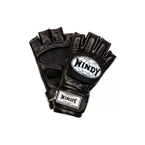 Windy MMA Handschuhe
