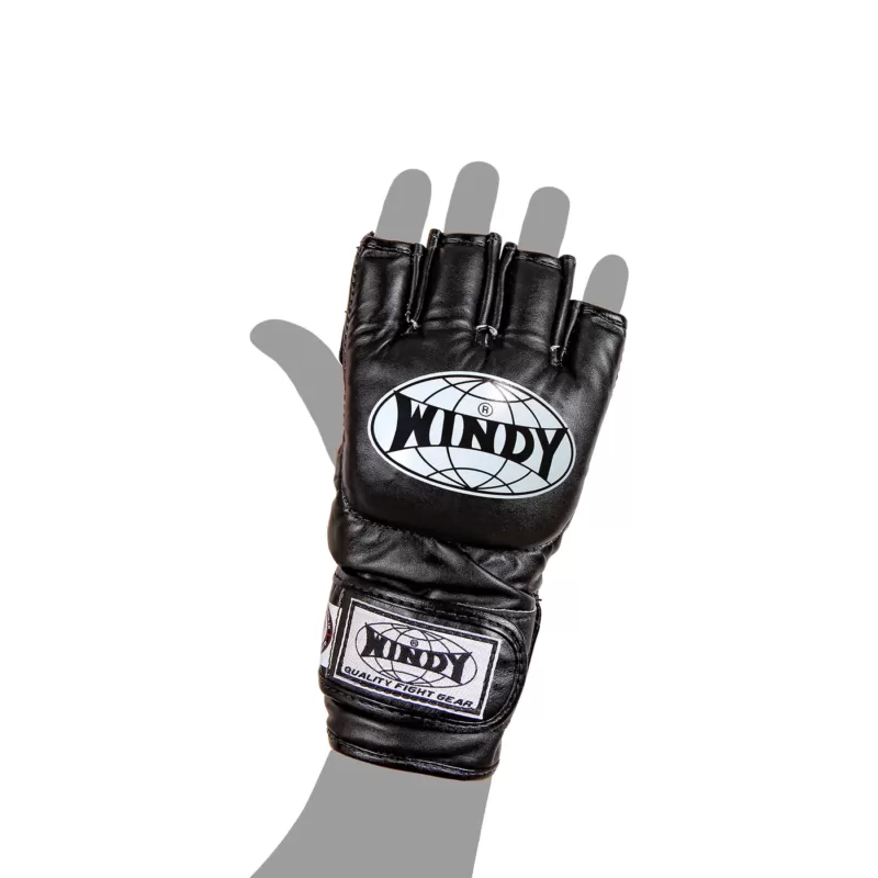 Windy MMA Handschuhe