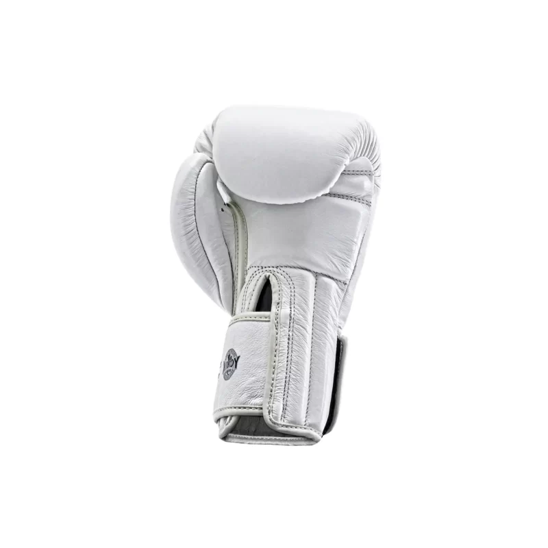 Windy Kickbox Handschuhe Weiß