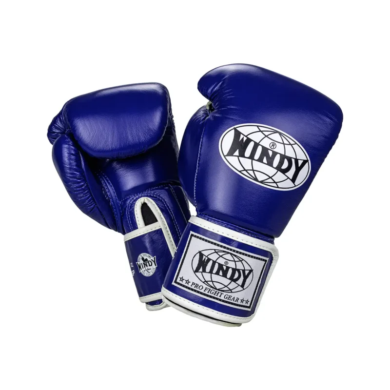 Windy Kickbox Handschuhe Blau