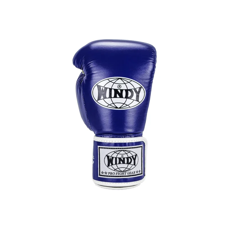 Windy Kickbox Handschuhe Blau