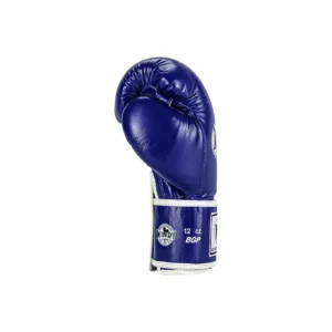 Windy Kickbox Handschuhe Blau
