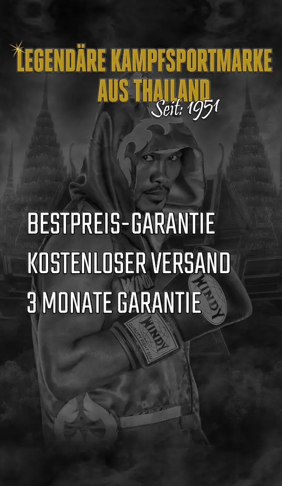 Windy Boxing Store DE Mobiler Header