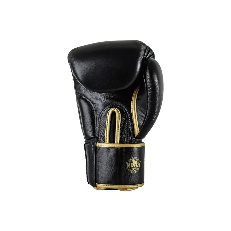 Windy Boxhandschuh Schwarz-Gold – Rückansicht