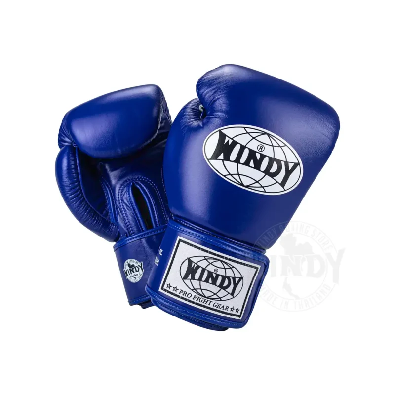 Windy Boxhandschuhe Blau