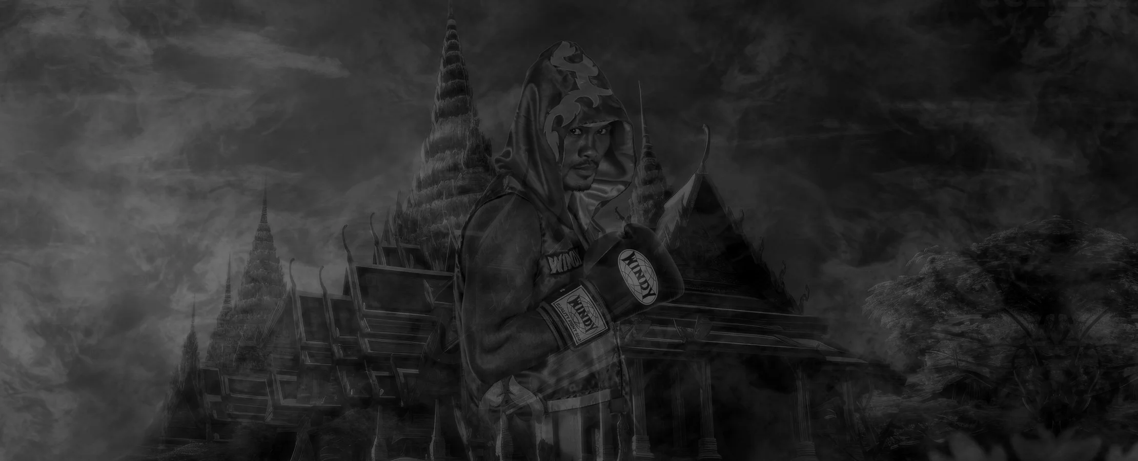 WIindy Header-Hintergrund